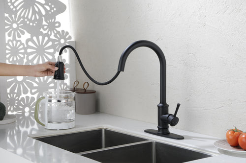 Kitchen Faucet with Pull Out Sprayer