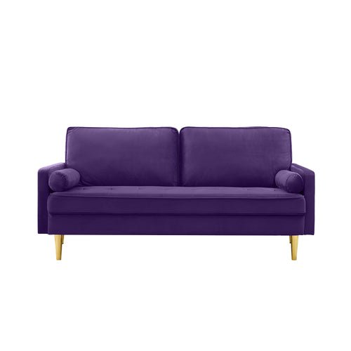 65-inch Minimalist Velvet Sofa with Metallic Legs and Cushions