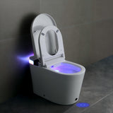 Smart Toilet with Bidet Seat Built-in, Auto Open/Close Seat, Foot Sensor
