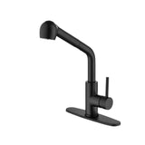 Single Handle Kitchen Sink Faucet With Pull Out Sprayer