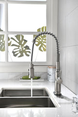 Single Handle Pull Down Kitchen Sink Faucet with Sprayer