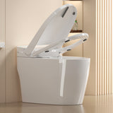 Unique Smart Toile, One Piece Toilet with Bidet Built