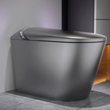 Starry Night Light Smart Toilet with Bidet Built In, Modern Design For  Bathr...