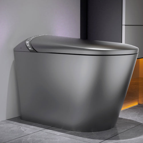 Starry Night Light Smart Toilet with Bidet Built In, Modern Design For  Bathr...