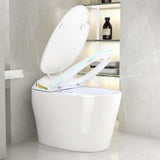 Unique Smart Toile, One Piece Toilet with Bidet Built