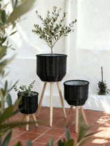 Black Poly Rattan Storage Baskets Set of 3 with Wooden Legs