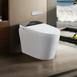 Tankless Smart Toilet With Bidet Built In, One-piece Bidet Toilet Seat