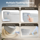 Tankless Smart Toilet With Bidet Built In, One-piece Bidet Toilet Seat