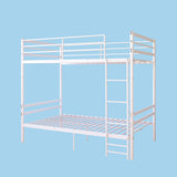 Twin Metal Bunk Bed White