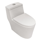 Modern Ceramic Dual Flush Soft Close One-Piece Toilet