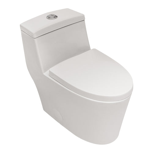 Modern Ceramic Dual Flush Soft Close One-Piece Toilet