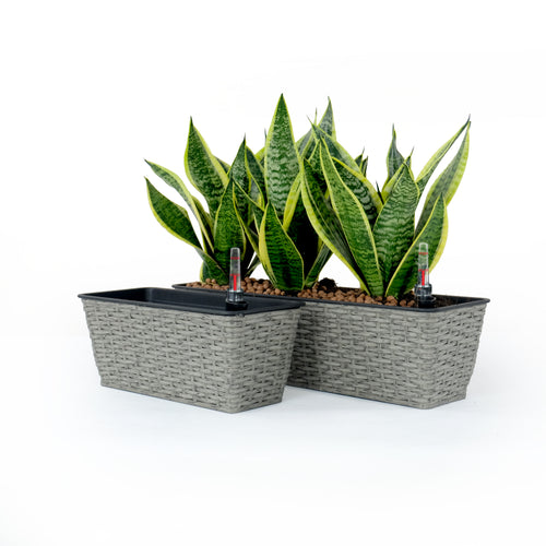2-Pack Hand Woven Wicker Self-Watering Rectangle Planter Gray