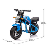 24V300W Kids Ride On XL Electric Toy Muscle Motorcycle,High-Speed Hub Motor,14''