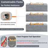 25604023