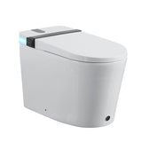 Smart Toilet with Bidet Seat Built-in, Auto Open/Close Seat, Foot Sensor