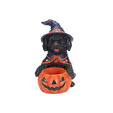 Halloween Black Labrador Retriever Witch Puppy Figurine, Cute Dog Holding Pumpki