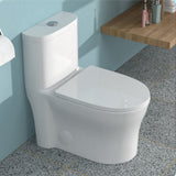 Ceramic One Piece Toilet for Bathroom, 12-inch Rough-In, 1.22/1.6 GPF