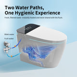 Tankless Smart Toilet With Bidet Built In, One-piece Bidet Toilet Seat