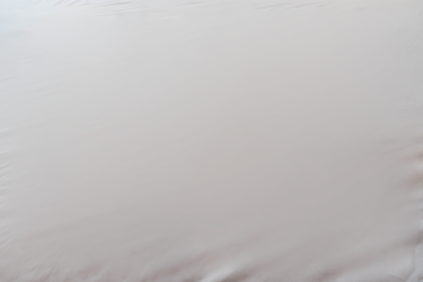 Mattress Protector - Encased - Polyester - Twin