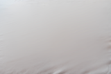 Mattress Protector - Encased - Polyester - Twin