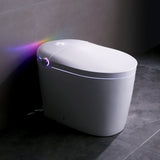Tankless Smart Toilet With Bidet Built In, One-piece, Auto Flush