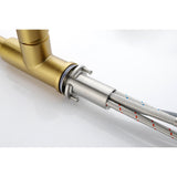 Single Handle Kitchen Sink Faucet Pull Out Sprayer