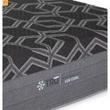 24591344