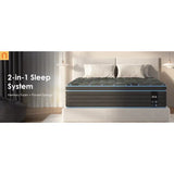 24591868