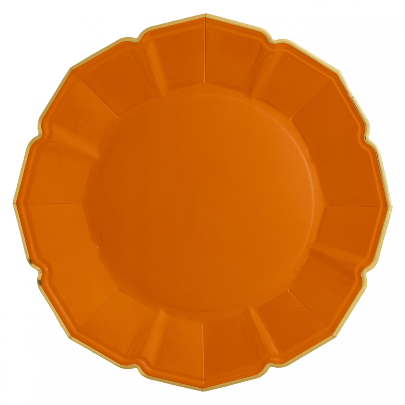 Terra Cotta Dinner Plates