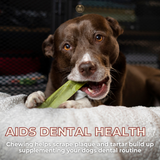 Himalayan Yak Chew Flavor Pack